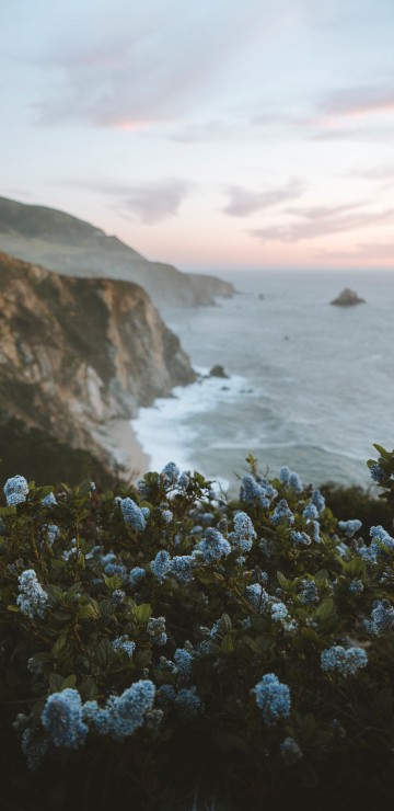 Image nature, coast, sea, cliff, natural landscape