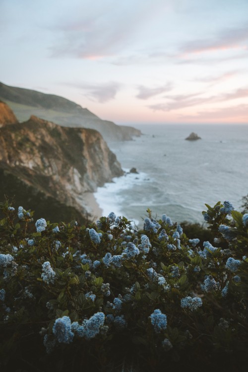 Image nature, coast, sea, cliff, natural landscape