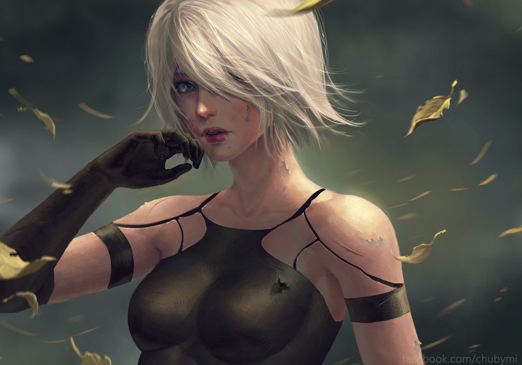 Nier-Automaten, Verweigern, Drakengard, Playstation 4, Blonde. Wallpaper in 2500x1750 Resolution