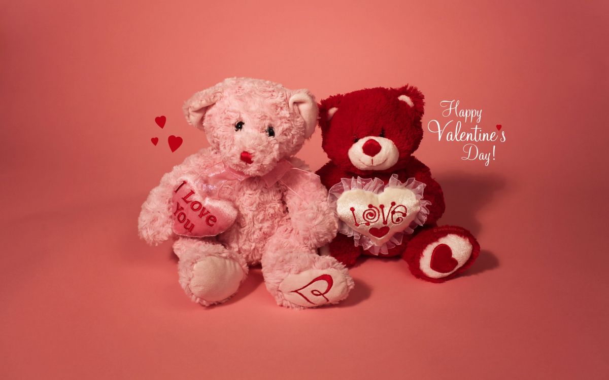 valentines day, teddy bear, stuffed toy, heart, toy