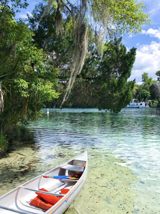 Boat, Water Transportation, Nature, Nature Reserve, Tree. Wallpaper in 2964x3952 Resolution