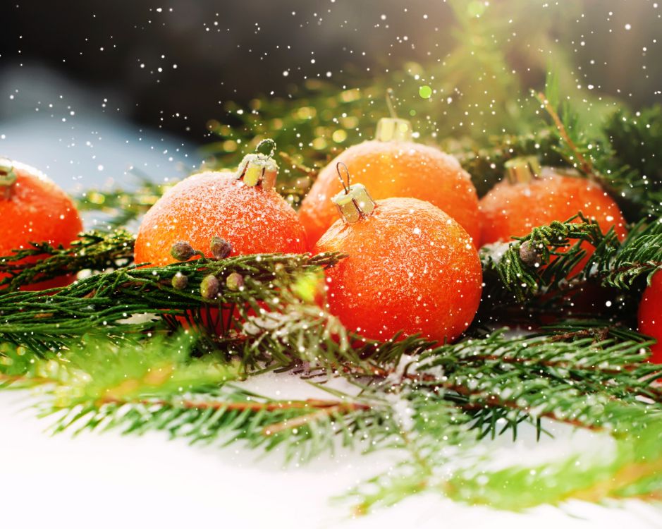 Christmas Day, New Year, Vegetarian Food, Food, Vegetable. Wallpaper in 5184x4140 Resolution