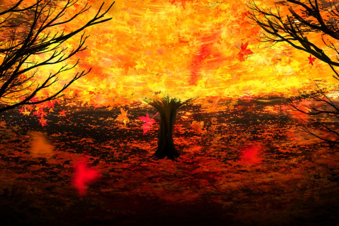 Gelbe Und Braune Bäume Unter Orangem Himmel. Wallpaper in 1920x1280 Resolution