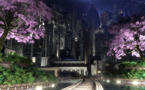 Image purple and white flowers on gray concrete road