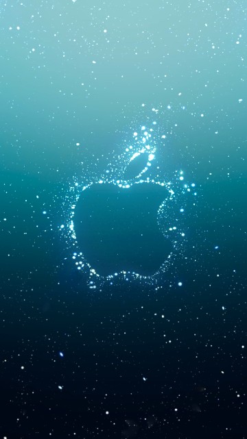 Image apples, apple, water, marine biology, liquid