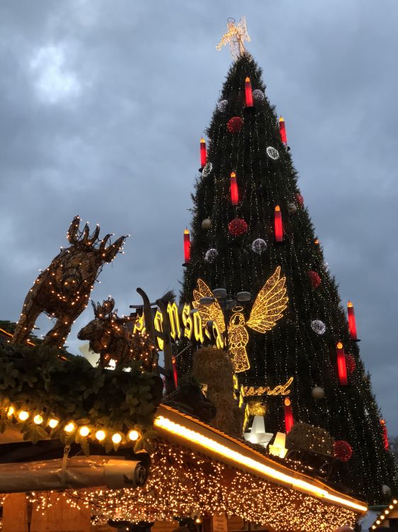 Weihnachtsbaum, Weihnachten, Fichte, Weihnachtsbeleuchtung, Tradition. Wallpaper in 1536x2048 Resolution