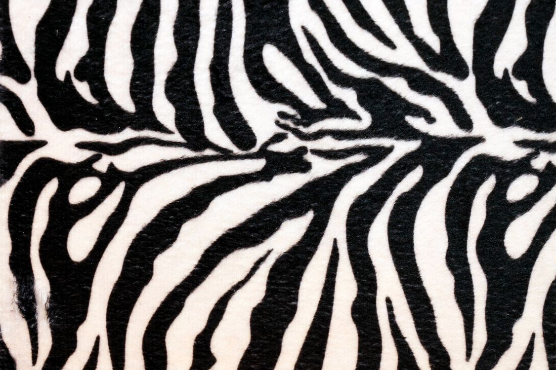 Schwarz-weißes Zebra-Textil. Wallpaper in 2711x1807 Resolution