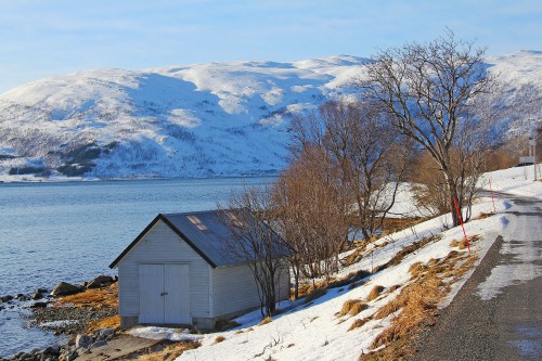 Image brown wooden house near bare trees on snow covered ground during daytime