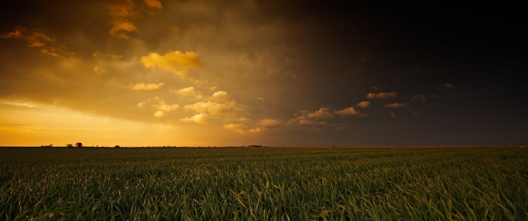 Campo de Hierba Verde Durante la Puesta de Sol. Wallpaper in 3440x1440 Resolution