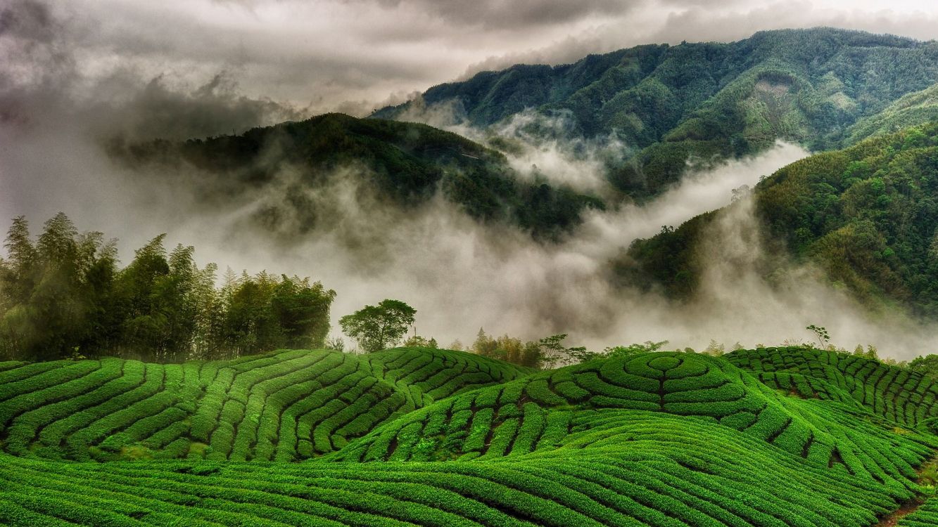 green grass field near mountain during daytime