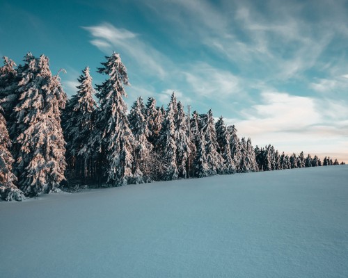 Image daytime, tree, winter, blue, mountain