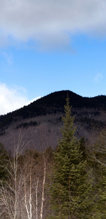 Image green trees on mountain under blue sky during daytime