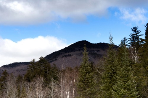 Image green trees on mountain under blue sky during daytime