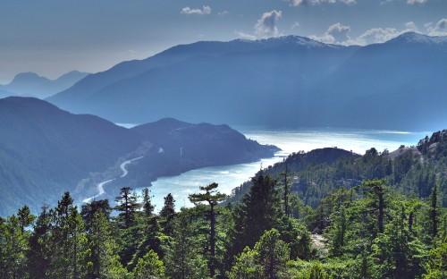 Image green trees near mountain during daytime