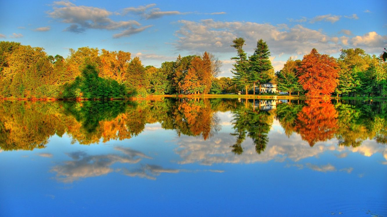 Grüne Bäume am See Unter Blauem Himmel Tagsüber. Wallpaper in 5120x2880 Resolution