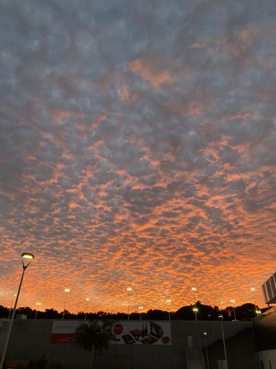 Cuerpo de Agua, Naturaleza, Sol, Sucursal, Carretera. Wallpaper in 1536x2048 Resolution