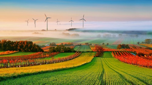 Image wind turbines on green grass field during daytime