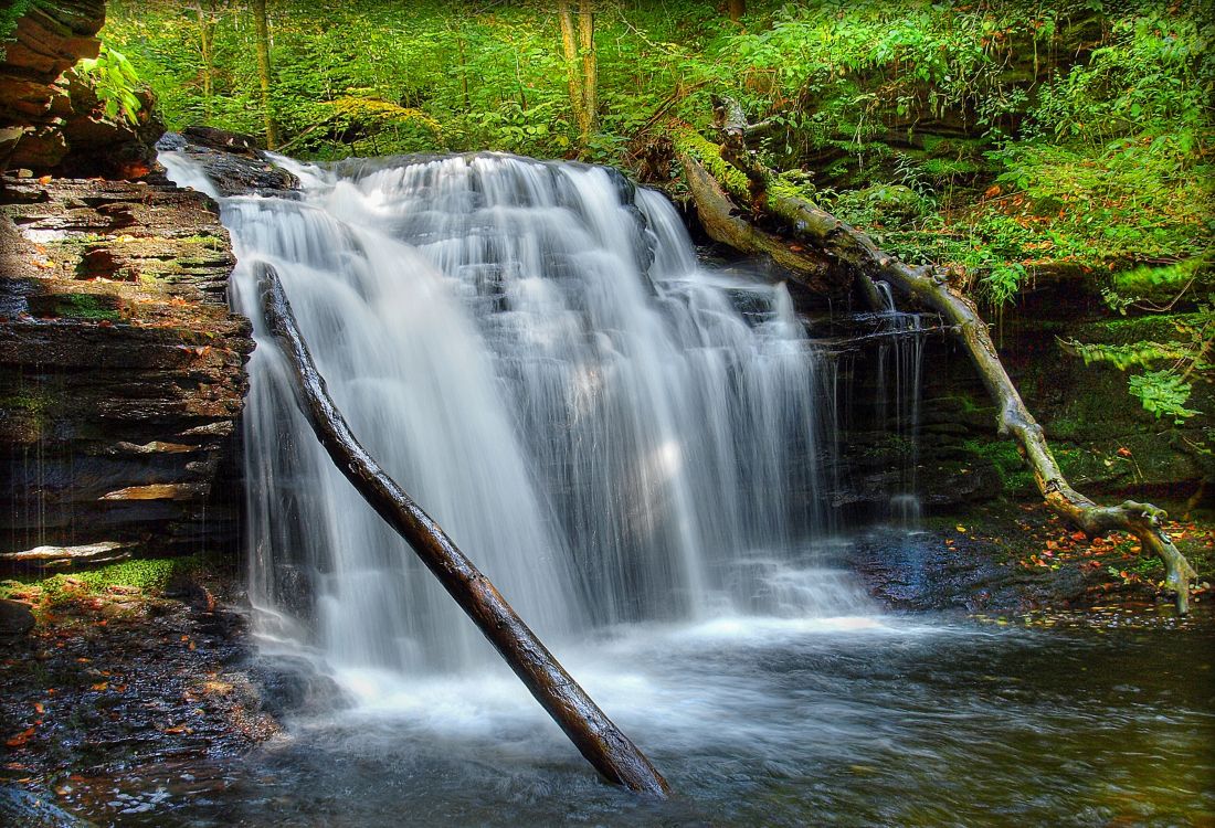 el Agua Cae en el Bosque. Wallpaper in 2818x1920 Resolution