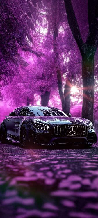 迈巴赫Exelero, 日产天际线, 日产gt r, 梅赛德斯-奔驰, 迈巴赫 壁纸 1440x3200 允许