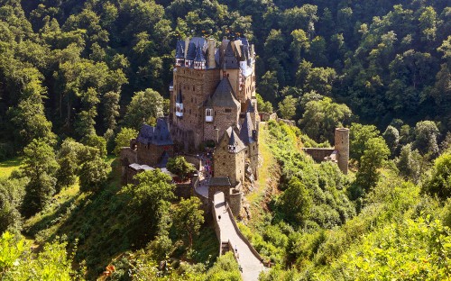 Image aerial view of gray castle surrounded by green trees during daytime