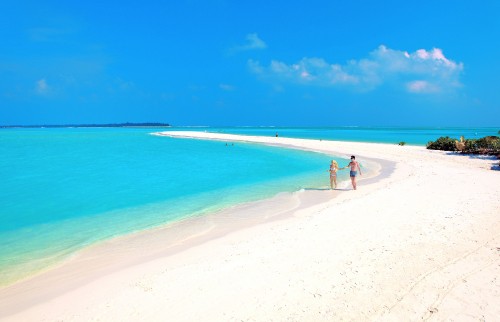 Image people on beach during daytime