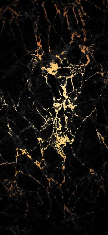 Obscurité, Liquid, Rameau, Fluide, de Teintes et de Nuances. Wallpaper in 1080x2340 Resolution