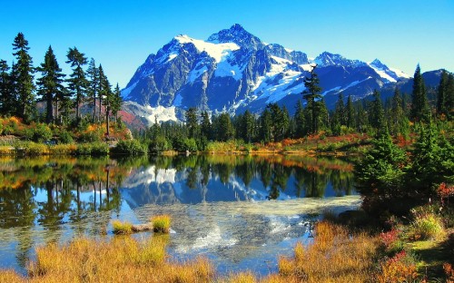 Image green trees near lake and snow covered mountain during daytime