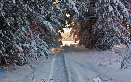 Image snow covered road between trees during daytime