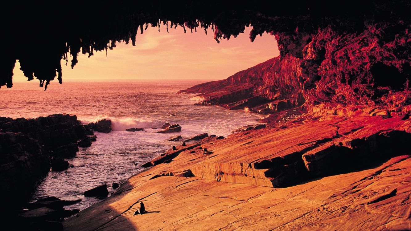 Les Gens Sur la Plage Pendant le Coucher du Soleil. Wallpaper in 2560x1440 Resolution