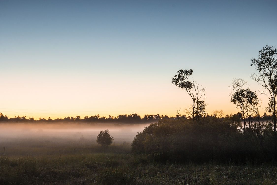 Campo de Hierba Verde Durante la Puesta de Sol. Wallpaper in 3111x2074 Resolution