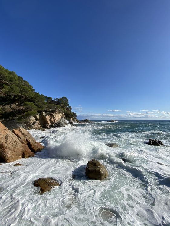 大海, 人体内的水, 流体, 海洋, 海岸 壁纸 1536x2048 允许