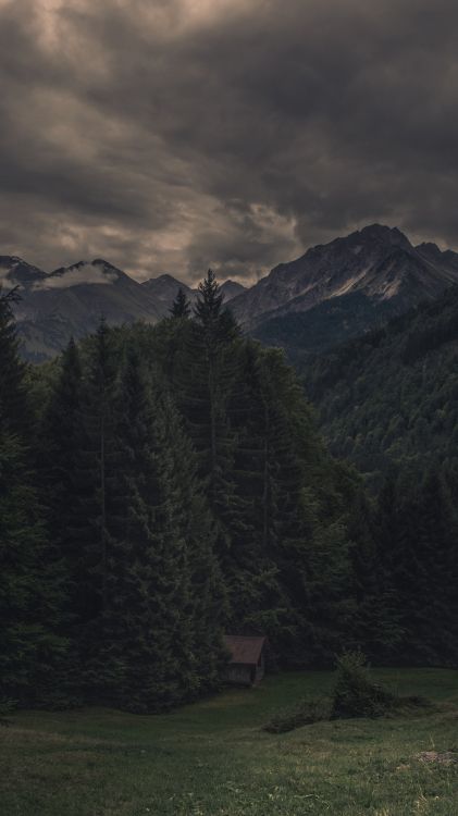 Highland, Montaña, Paisaje Natural, Alerce, Atardecer. Wallpaper in 1080x1920 Resolution