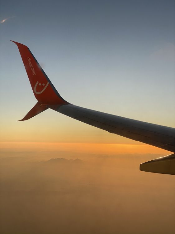 Los Viajes Aéreos, Cuerpo Estrecho de Aeronaves, Airbus, Aeronave, Aviación. Wallpaper in 1536x2048 Resolution